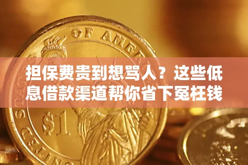 济南担保费贵到想骂人？这些低息借款渠道帮你省下冤枉钱