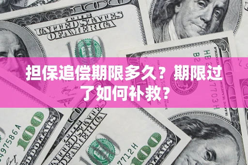 济南担保追偿期限多久？期限过了如何补救？