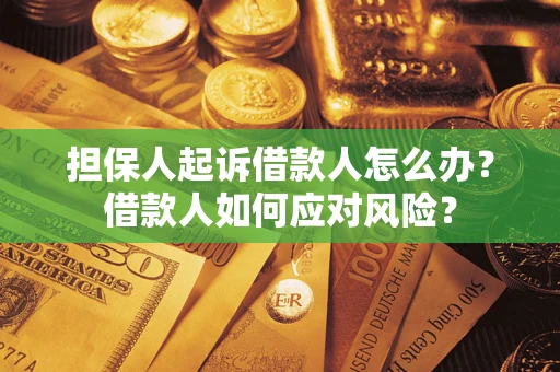 济南担保人起诉借款人怎么办？借款人如何应对风险？