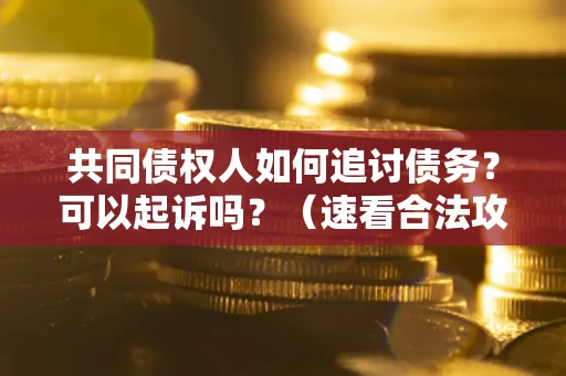 济南共同债权人如何追讨债务？可以起诉吗？（速看合法攻略）