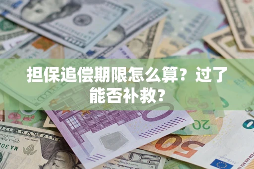济南担保追偿期限怎么算？过了能否补救？